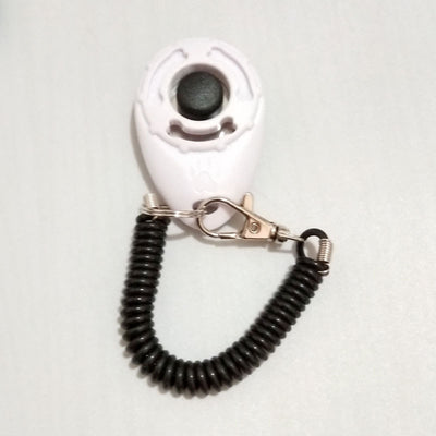 Turquoise dog training clicker with a black button and paw print, attached to a black coiled lanyard with a silver lobster clasp. - Image 10