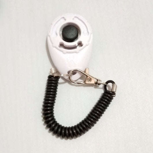 Turquoise dog training clicker with a black button and paw print, attached to a black coiled lanyard with a silver lobster clasp. - Image 10