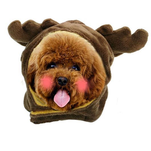 Gorro Divertido para Gatos - Accesorio Cálido y Adorable - Image 12