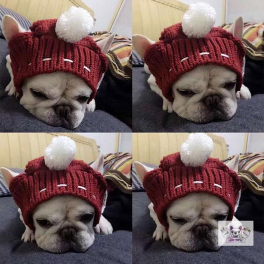 Gorro Divertido para Bulldog Francés y Pug