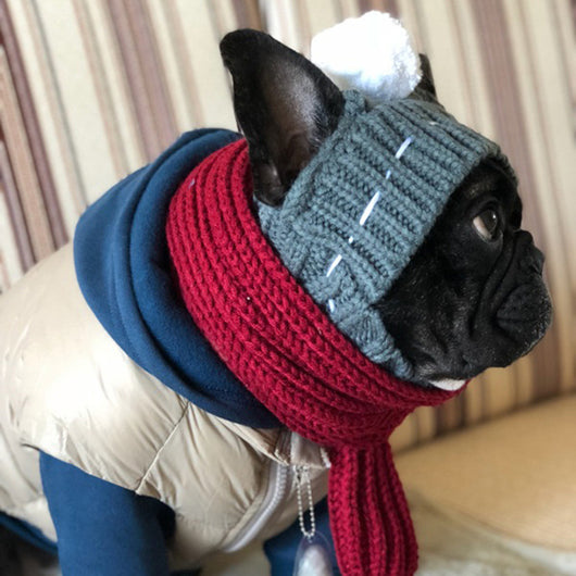 Gorro Divertido para Bulldog Francés y Pug - Image 6
