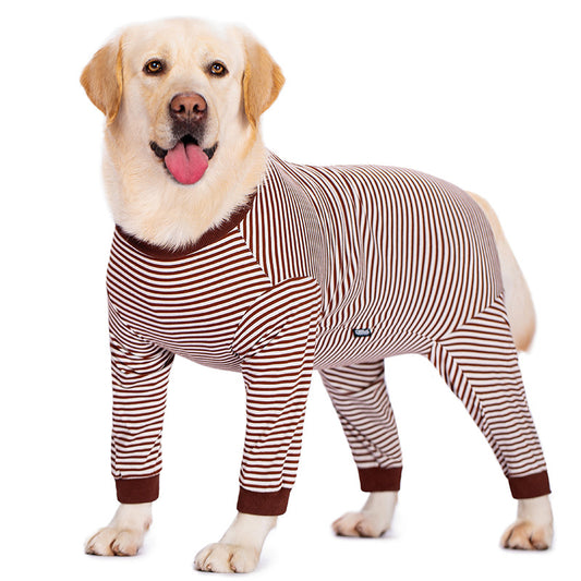 Ropa Ligera para Perros Golden Retriever y Labrador