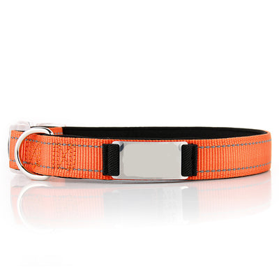 Collar de Perro Personalizado de Nylon - Image 23