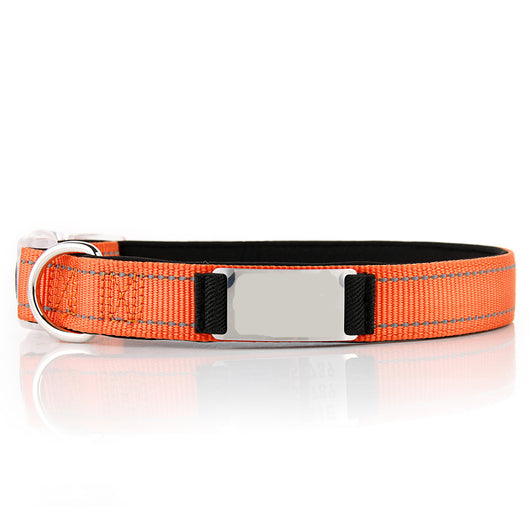 Collar de Perro Personalizado de Nylon - Image 4