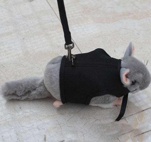 Correa de Seguridad para Mascotas Pequeñas - Image 12