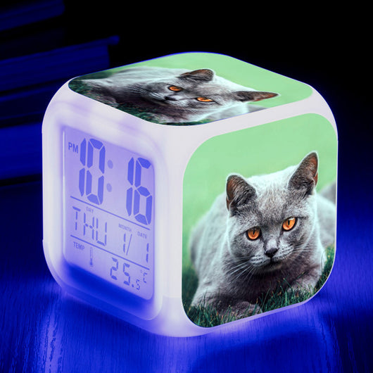 Reloj Despertador Cuadrado Multicolor para Gatos