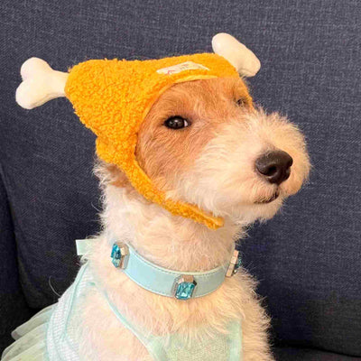 Accesorios Premium para Mascotas y Aventuras al Aire Libre - Image 5