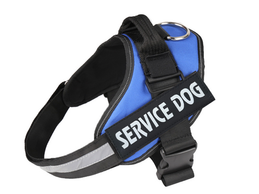 Arnés de Pecho para Perro con Correa Integrada - Image 17