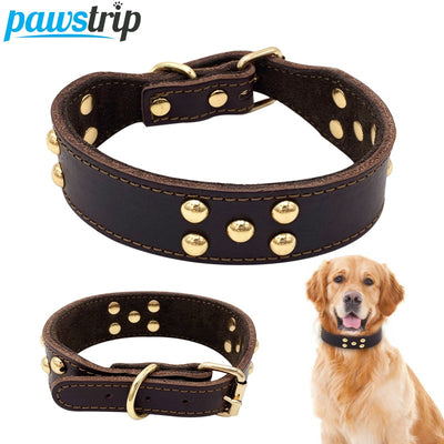 Collar para Perro