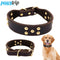 Collar para Perro