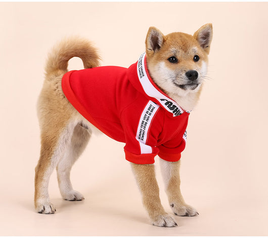 Ropa de Moda para Perros Pequeños y Medianos - Image 14