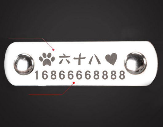 Collar Personalizado para Mascota con Placa de Identificación Grabada - Image 3