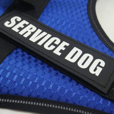 Arnés Personalizado para Mascotas - Image 3