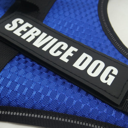 Arnés Personalizado para Mascotas - Image 3