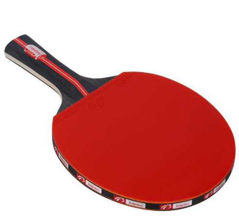Set Completo de Raquetas de Tenis de Mesa con Bolsa Protectora - Image 4