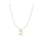 S925 sterling Plateado vintage 26 letter necklace D