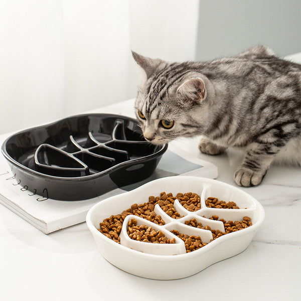 Comedero Cerámico de Alimentación Lenta para Gatos