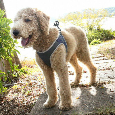 Chaleco arnés para perro - Image 4