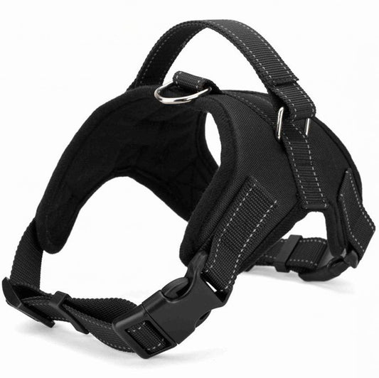 Arnés de Cuero Premium con Cuerda de Sujeción Manual para Golden Retriever - Resistencia a Prueba de Explosión