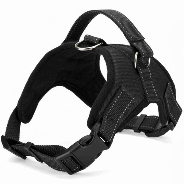 Arnés de Cuero Premium con Cuerda de Sujeción Manual para Golden Retriever - Resistencia a Prueba de Explosión