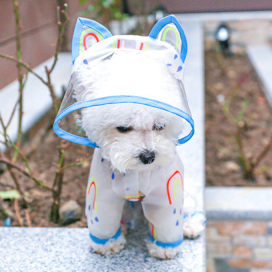 Impermeable Transparente Arcoíris para Perros - Image 19