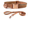 Naranja Collar Y Correa De Tracción XS