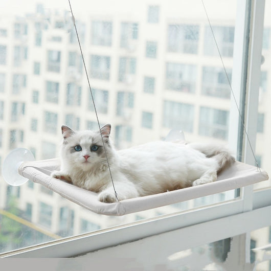 Hamaca Colgante para Gatos con Ventosa - Reposa Felino - Image 9
