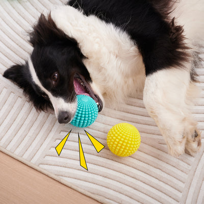 Juguete Masticable Indestructible para Perros Medianos y Grandes - Image 7