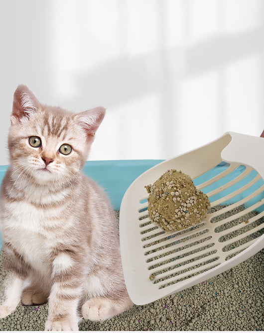 Pala Recogedora de Arena para Gatos Grande - Herramienta Profesional de Limpieza - Image 13