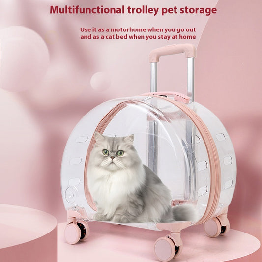 Mochila Transportadora Transparente para Gatos y Mascotas Pequeñas