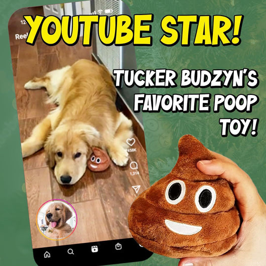 Juguete Interactivo para Mascotas con Sonidos Divertidos - Image 2