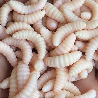 50 Piezas de Carnada Artificial Blanda tipo Larva para Pesca - Image 11