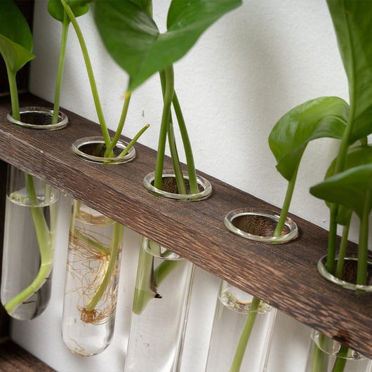 Jarrón Hidropónico de Madera y Vidrio - Decoración Retro para Dormitorio y Sala - Image 5