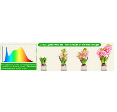 Luz LED de Crecimiento para Plantas Suculentas y Bonsái con Temporizador y Atenuador - Image 10