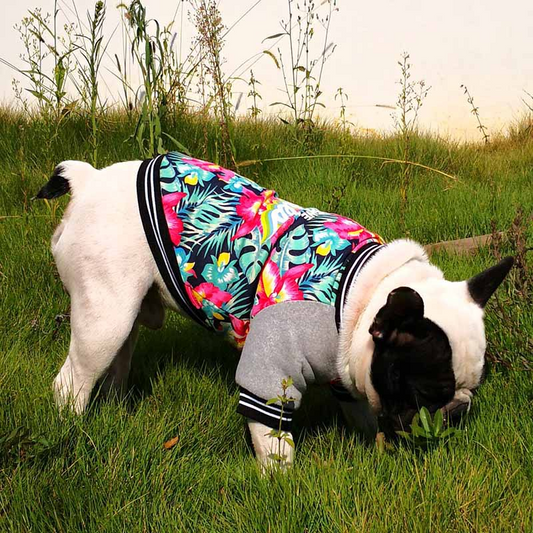Ropa Elástica Estampada para Perros Pitbull - Diseño de Dos Patas