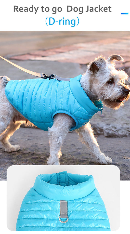 Abrigo Impermeable para Perros Otoño e Invierno con Cierre de Cremallera - Image 17