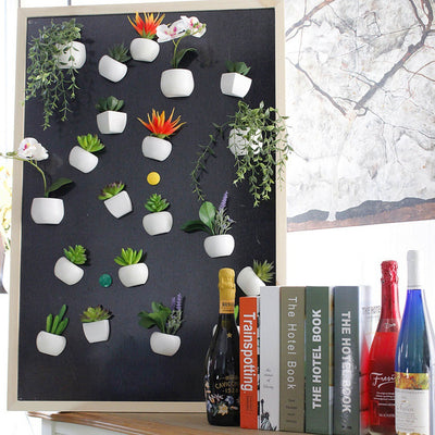 Imanes Decorativos de Suculentas para Refrigerador - Mini Plantas Magnéticas - Image 15