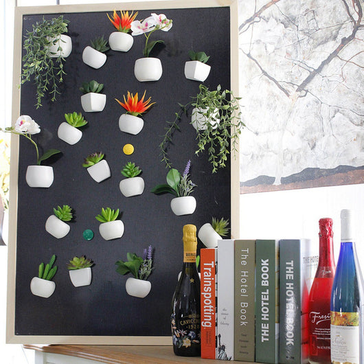 Imanes Decorativos de Suculentas para Refrigerador - Mini Plantas Magnéticas - Image 15
