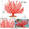 M 2844 Coral Grande