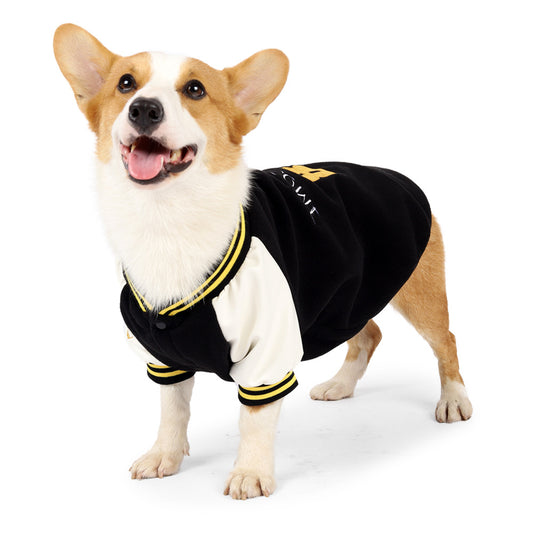 Suéter Béisbol para Perros Medianos - Image 2