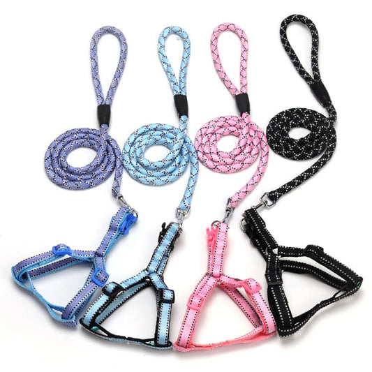 Cuerda Trenzada de Nylon Multicolor con Rayas