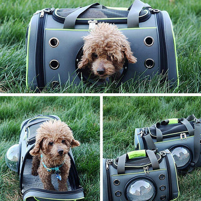 Cápsula Espacial Portátil para Mascotas - Image 11