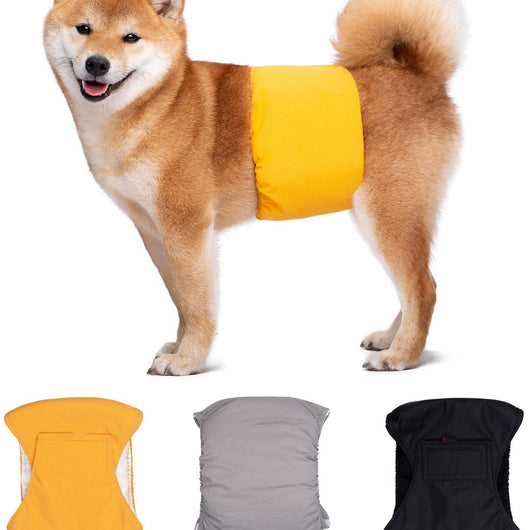 Pañal Fisiológico Higienizante para Perros