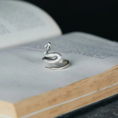 Anillo de Plata Esterlina S925 Estilo Frío Desgastado Nicho - Image 15