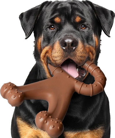 Juguete Interactivo Masticable para Perros - Limpiador de Molares - Image 13