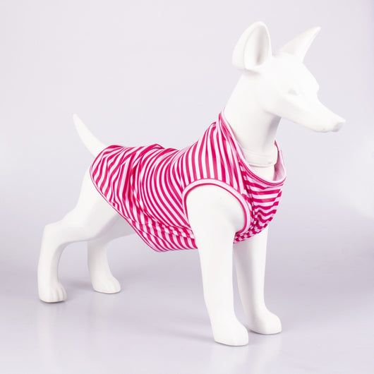 Chaleco Rayado Transpirable para Perros - Ropa Cómoda y Fresca - Image 16