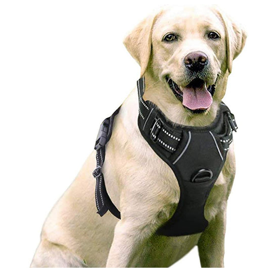Chaleco Reflectante para Perro con Cuerda de Agarre Manual - Image 16