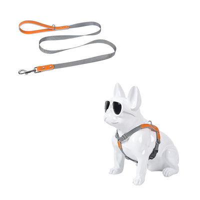 Arnés de Pecho para Perro en Cuero con Correa de Nylon - Image 14