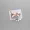 Champagne Hair Clip