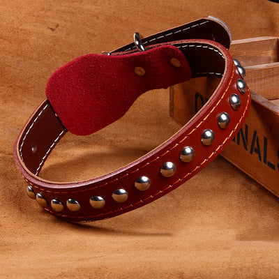 Collar de Cuero Genuino - Image 4